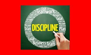 Discipline  Discipline Essay