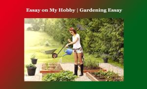 Essay on My Hobby  Gardening Essay