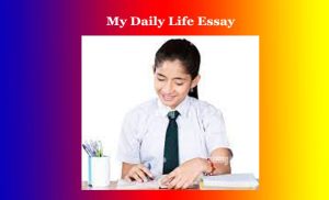 My Daily Life Essay