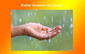 Rainy Season-An Essay